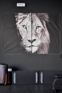 la guarida fitness alicante 14